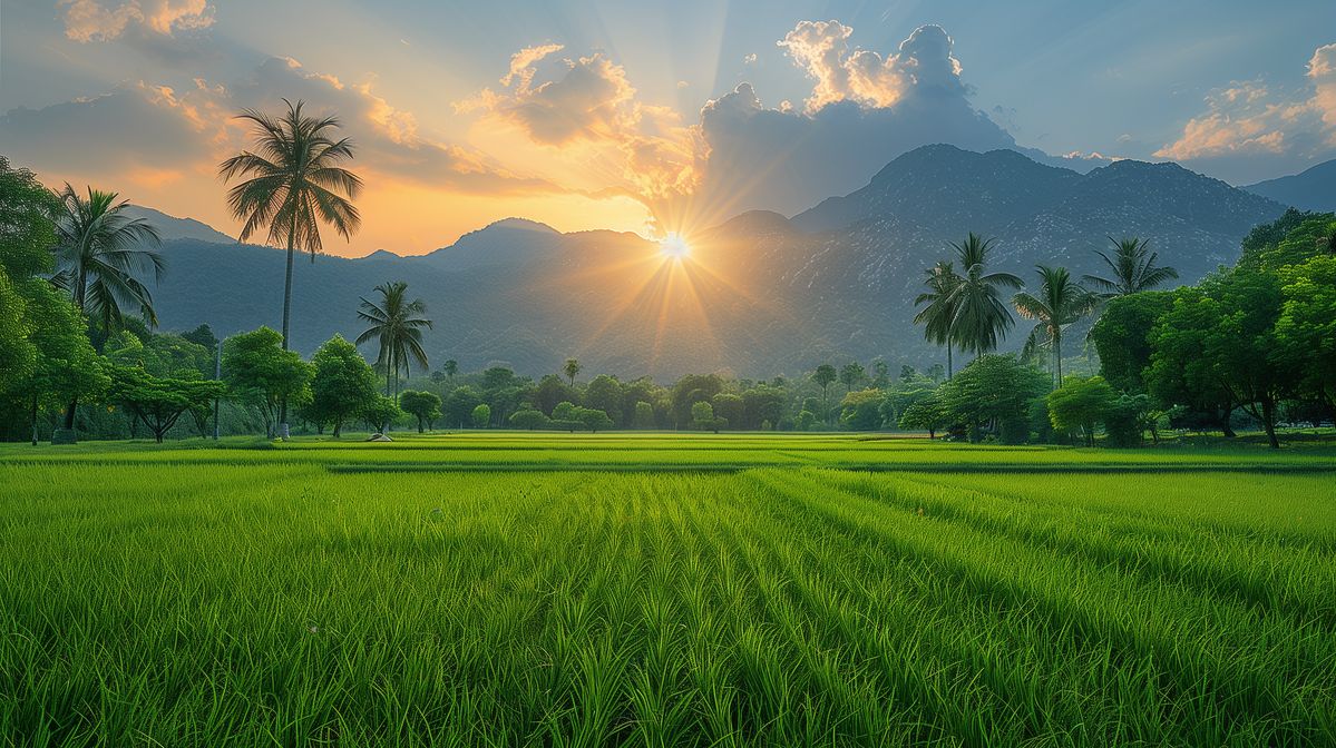 Giải pháp bảo vệ thực vật toàn diện